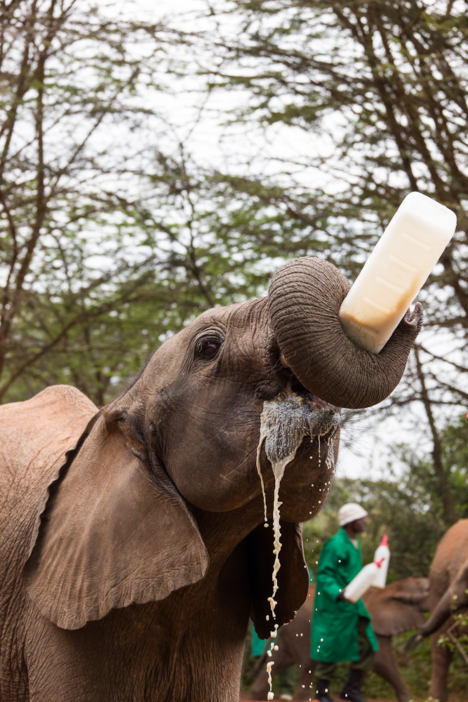nairobi